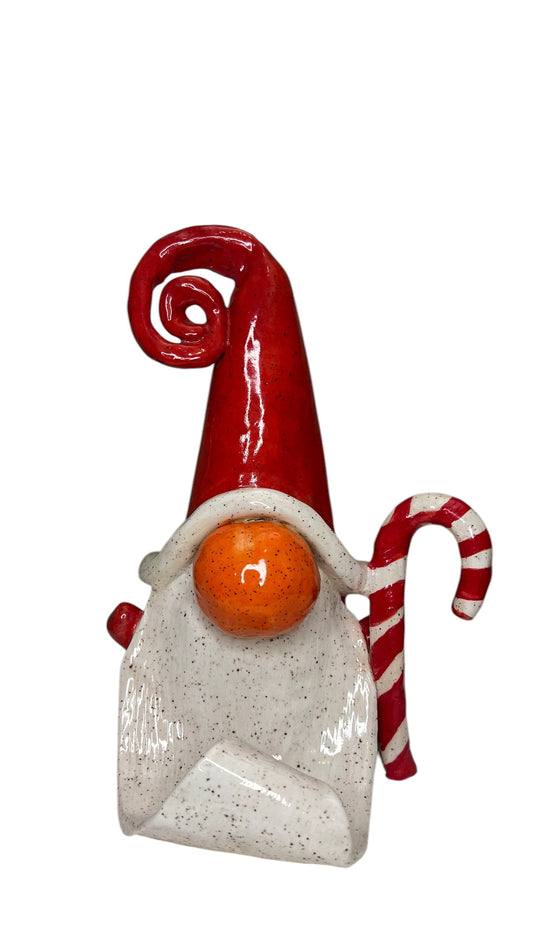 Santa Gnome